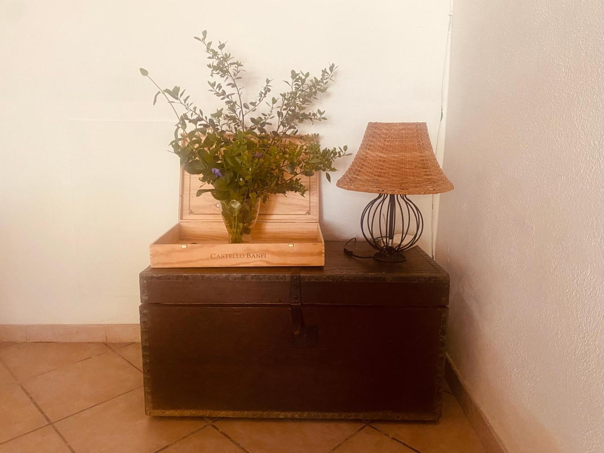 Giuncarico Agriturismo La Concia מראה חיצוני תמונה